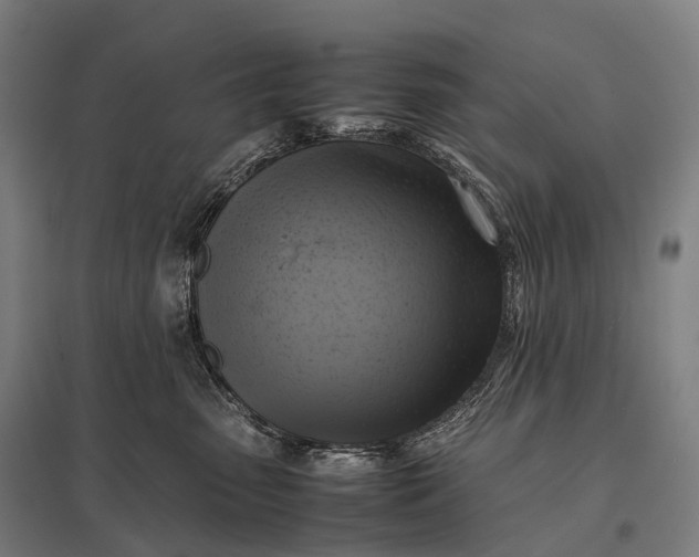 X0000097860475200803281315