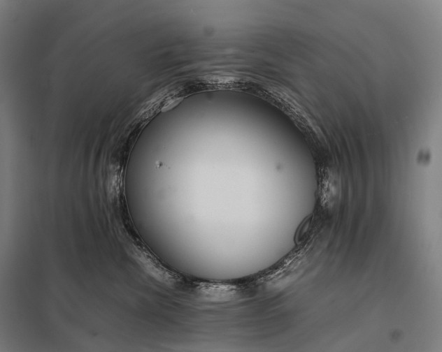 X0000097860476200803281315