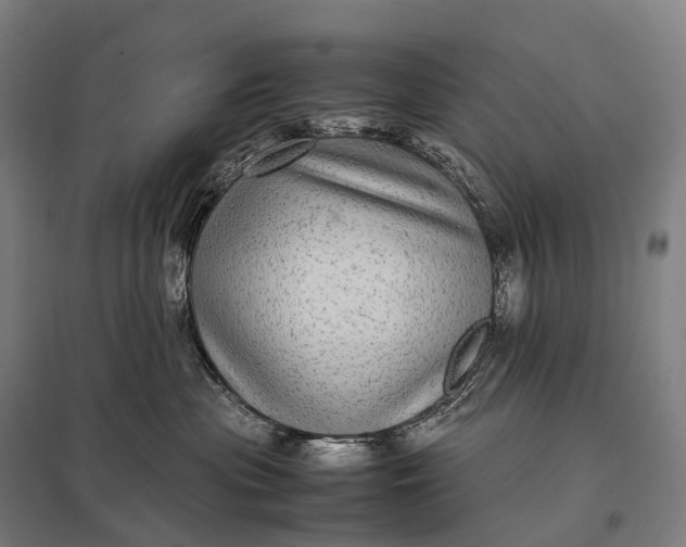 X0000097860477200803281315