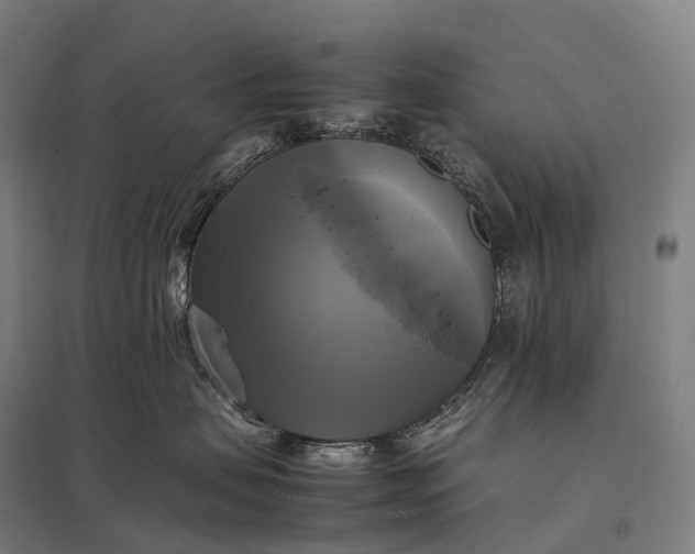 X0000097860479200803281315