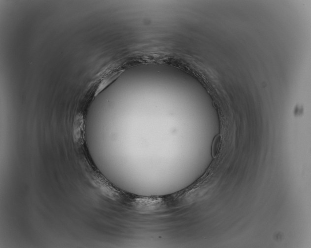 X0000097860480200803281315