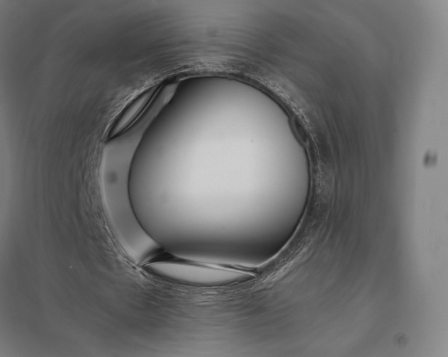 X0000097860481200803281315