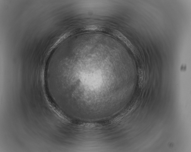 X0000097860482200803281315