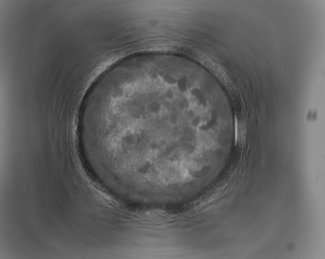 X0000097860483200803281315