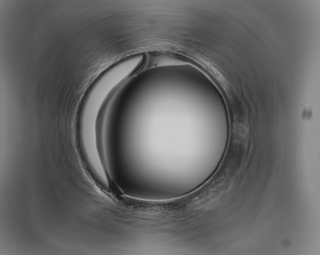 X0000097860485200803281315