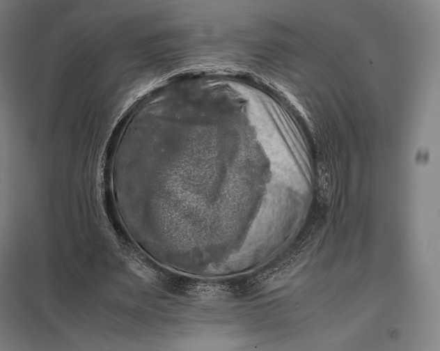 X0000097860487200803281315