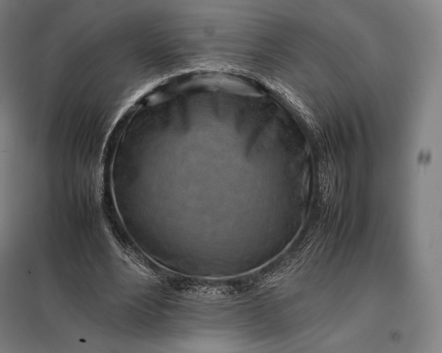 X0000097860488200803281315