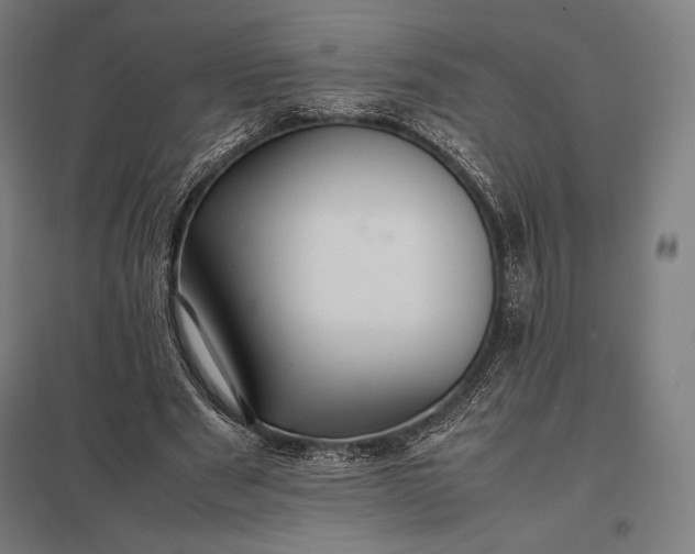 X0000097860489200803281315