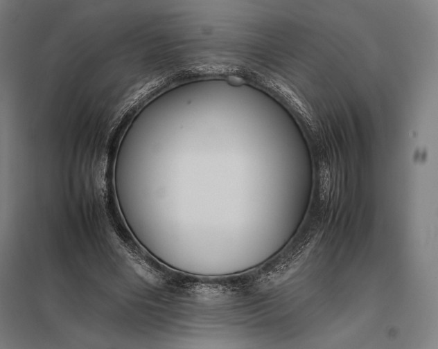 X0000097860490200803281315