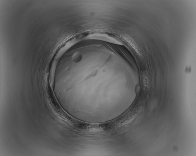 X0000097860491200803281315