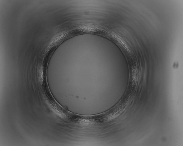 X0000097860494200803281315