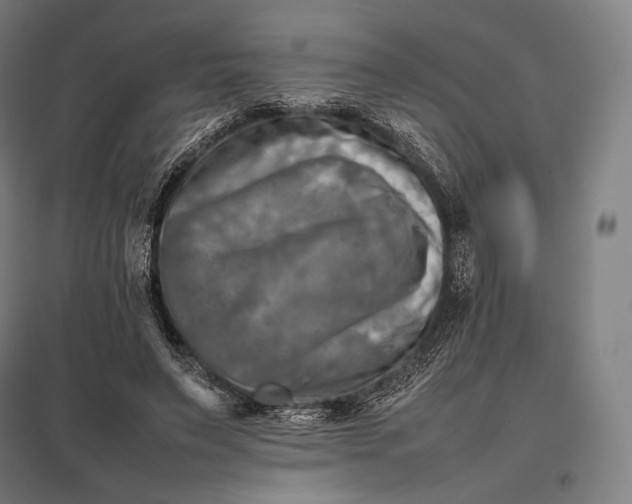 X0000097860495200803281315