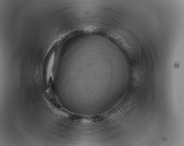 X0000097860496200803281315