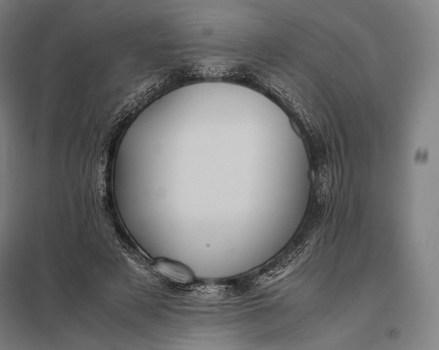 X0000097860497200803281315