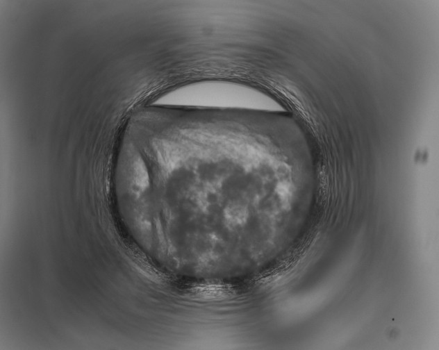 X0000097860499200803281315