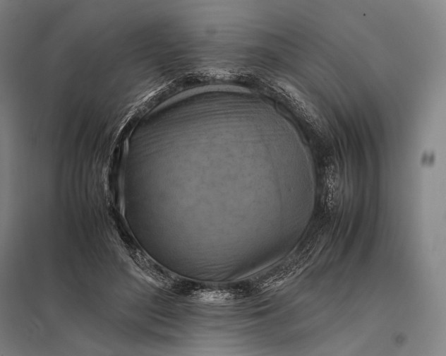 X0000097860500200803281315