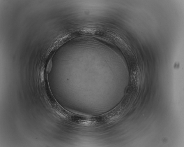 X0000097860504200803281315