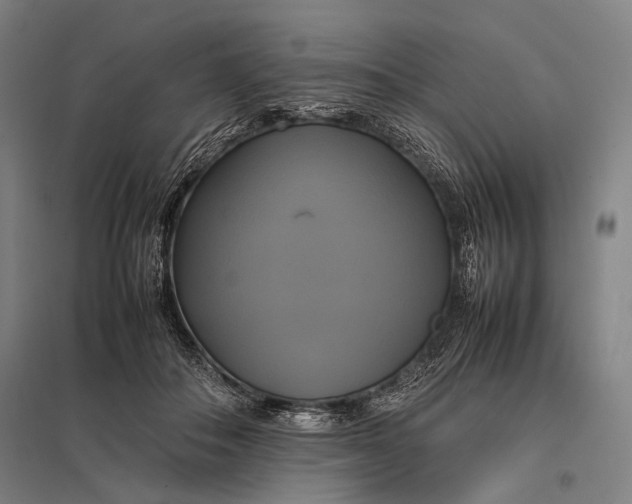 X0000097860506200803281314