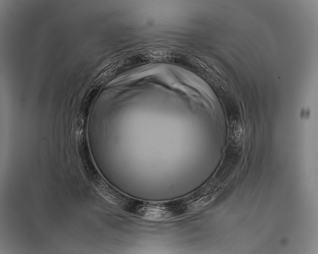 X0000097860507200803281314