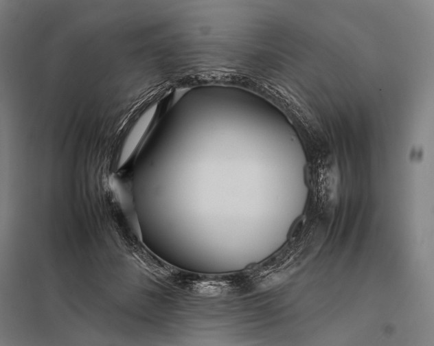 X0000097860508200803281314