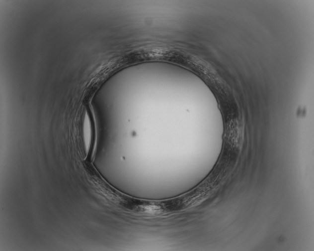 X0000097860509200803281314