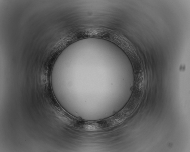 X0000097860510200803281314