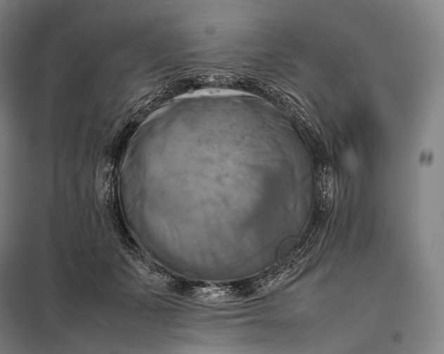 X0000097860511200803281314