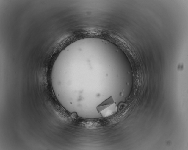 X0000097860512200803281314