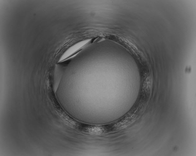 X0000097860513200803281314