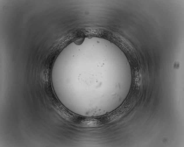 X0000097860514200803281314