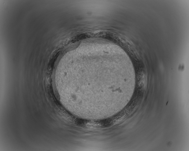 X0000097860515200803281314