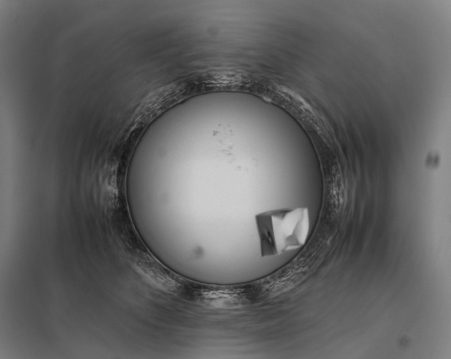 X0000097860516200803281314