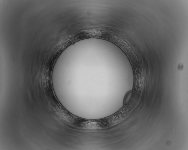 X0000097860518200803281314