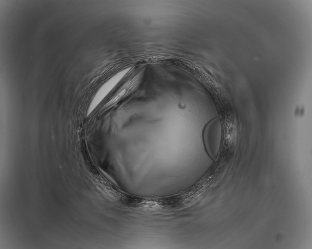 X0000097860519200803281314