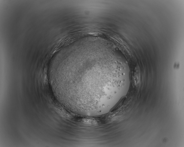 X0000097860520200803281314