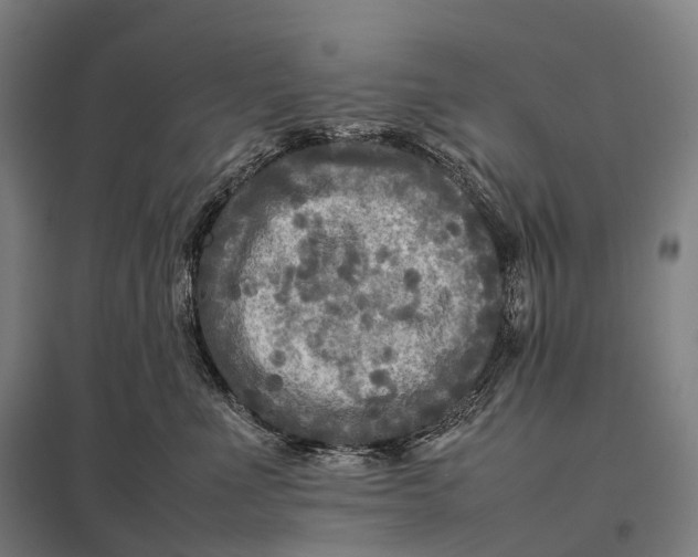 X0000097860523200803281314