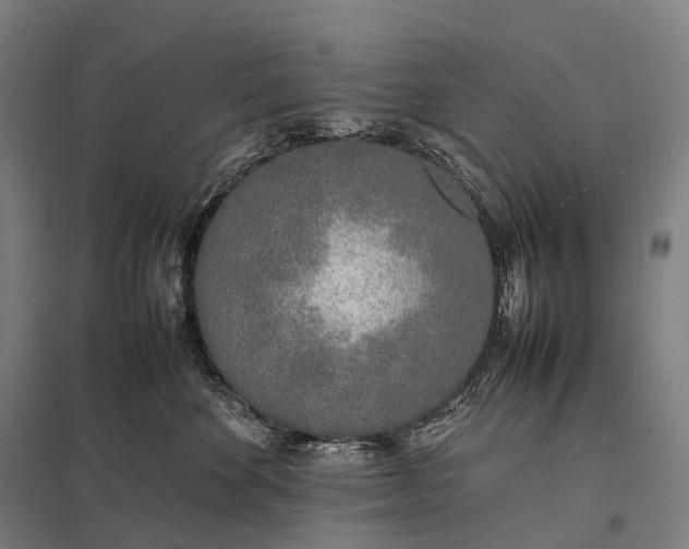 X0000097860524200803281314