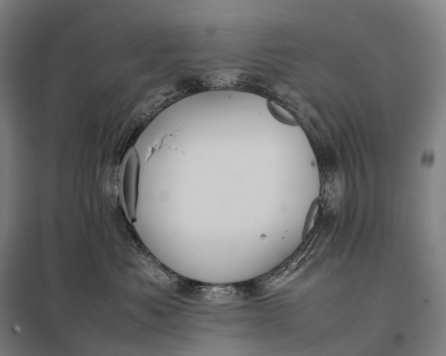 X0000097860525200803281314