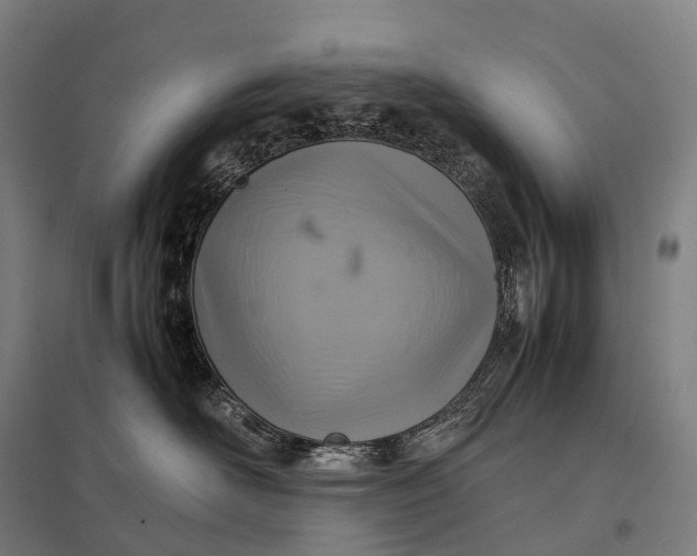 X0000097860526200803281314