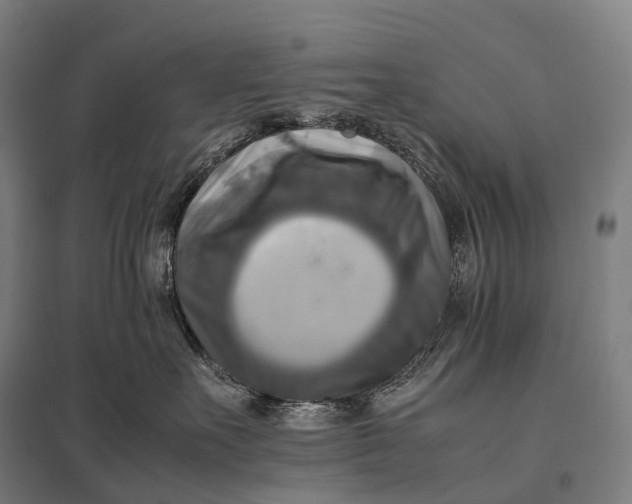 X0000097860527200803281314