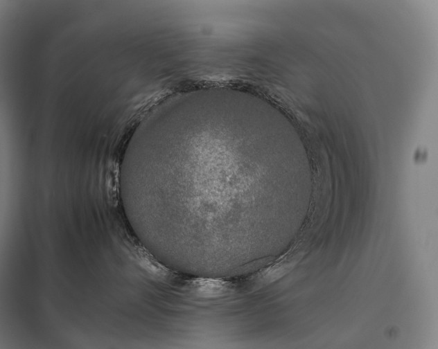 X0000097860528200803281314