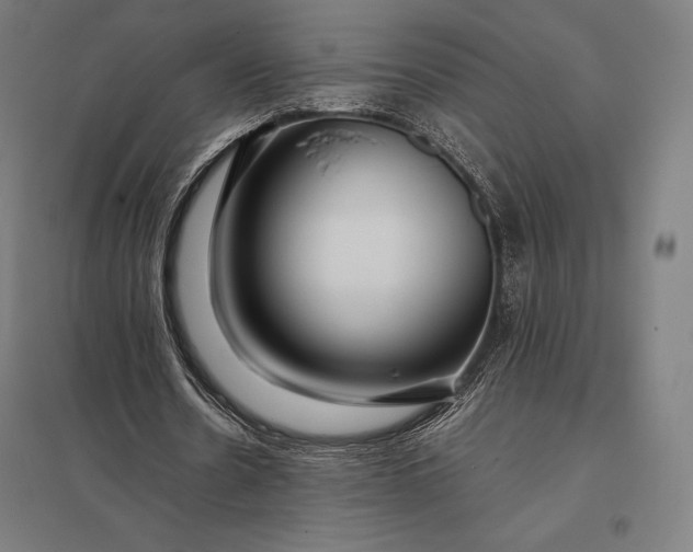 X0000097860530200803281314