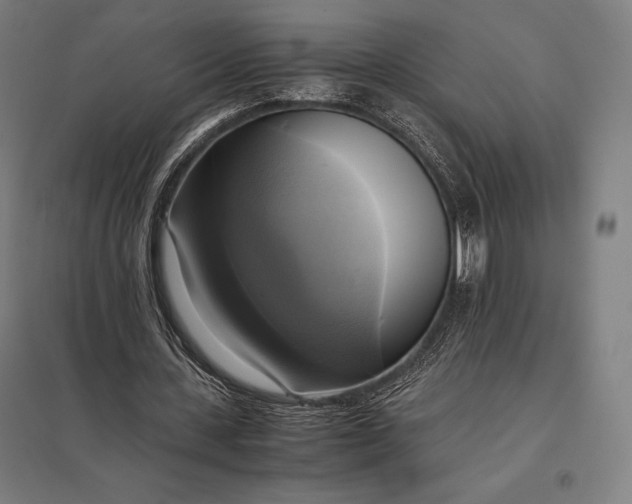 X0000097860531200803281314