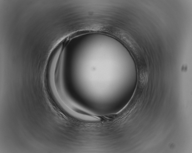 X0000097860532200803281314