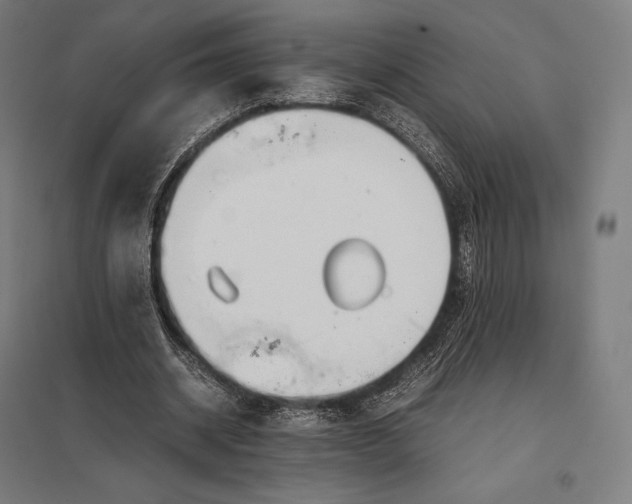 X0000097860534200803281314