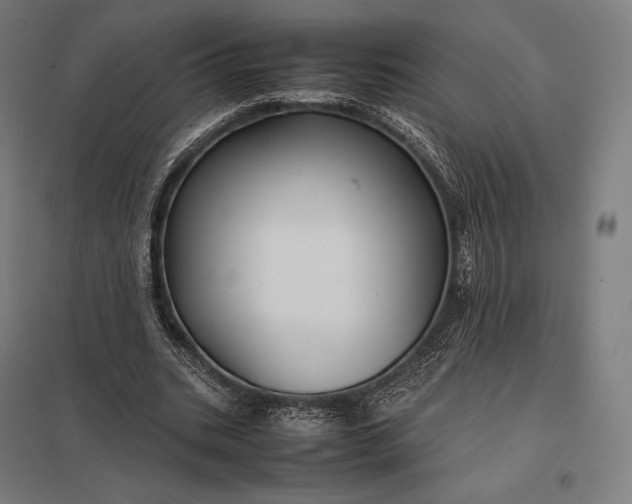 X0000097860535200803281314