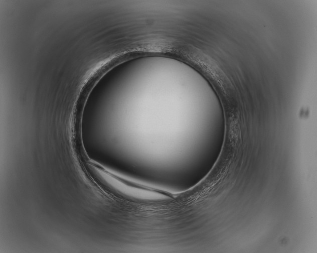 X0000097860536200803281314