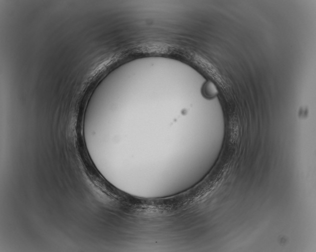 X0000097860538200803281314