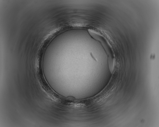 X0000097860539200803281314