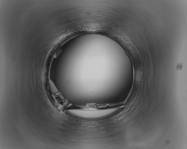 X0000097860540200803281314